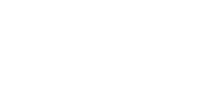 Logo Wansoft